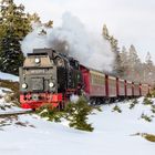 Schmalspurbahn auf dem Brockenweg