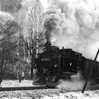 Schmalspurbahn bei Steinbach