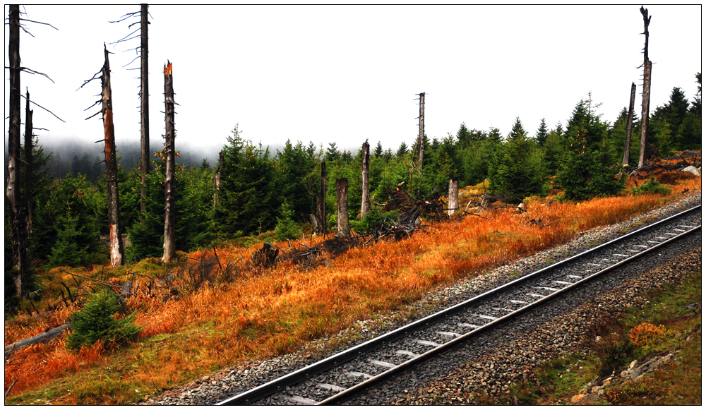 Schmalspurbahn / Brocken