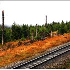 Schmalspurbahn / Brocken