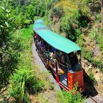 Schmalspurbahn, Coromandel Driving Creek Railway