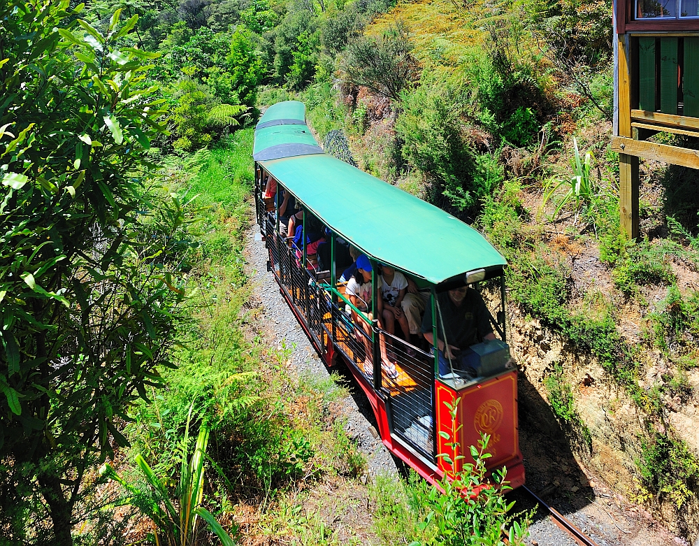 Schmalspurbahn, Coromandel Driving Creek Railway