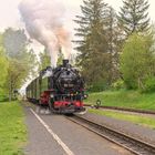 Schmalspurbahn - Einfahrt Bahnhof Jonsdorf. Aus dem Kalender "Oybin und Jonsdorf"