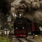 Schmalspurbahn im Harz