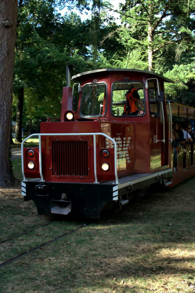 Schmalspurbahn im Karlsruher Schlossgarten **