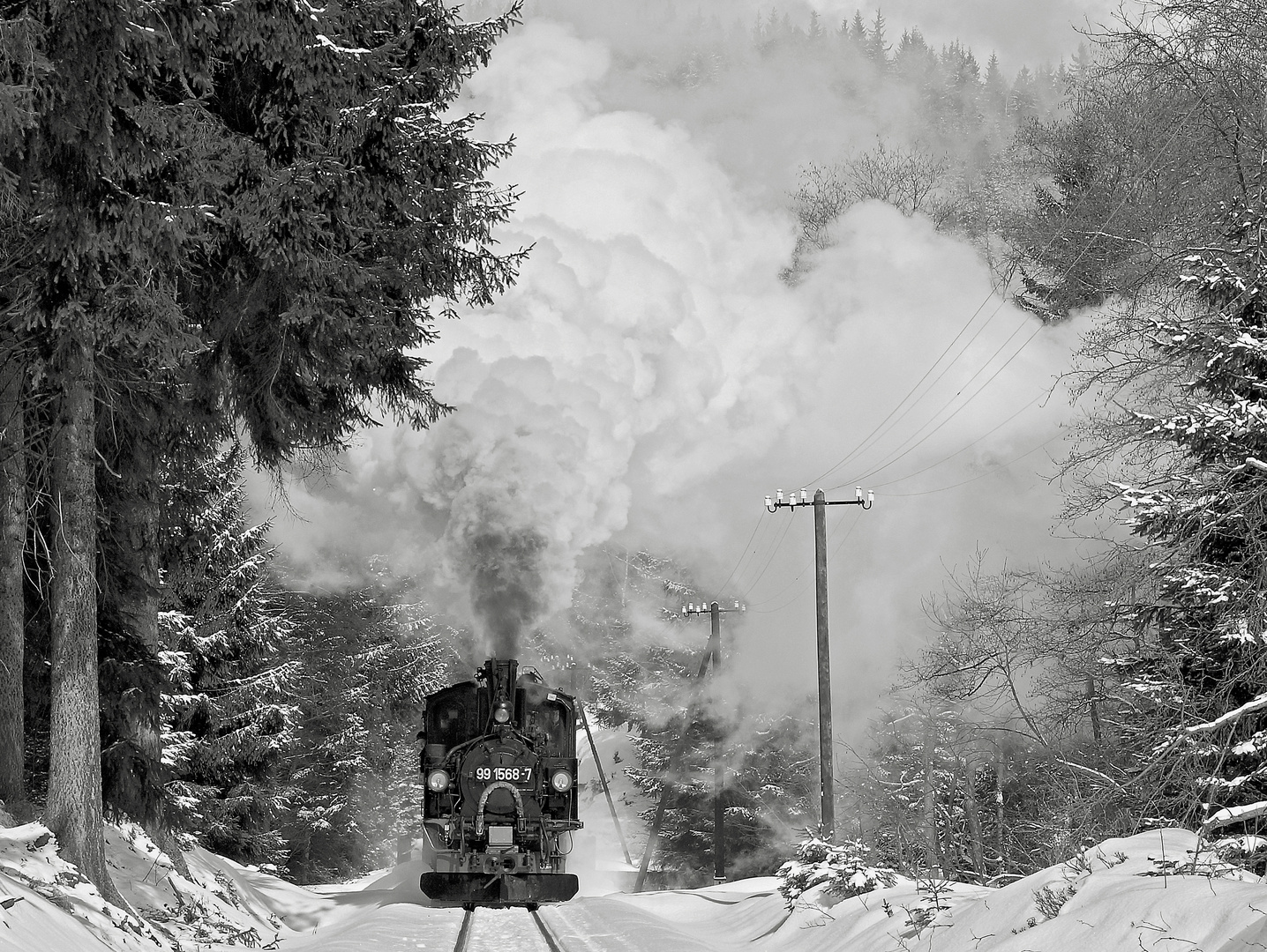 Schmalspurbahn im Winter