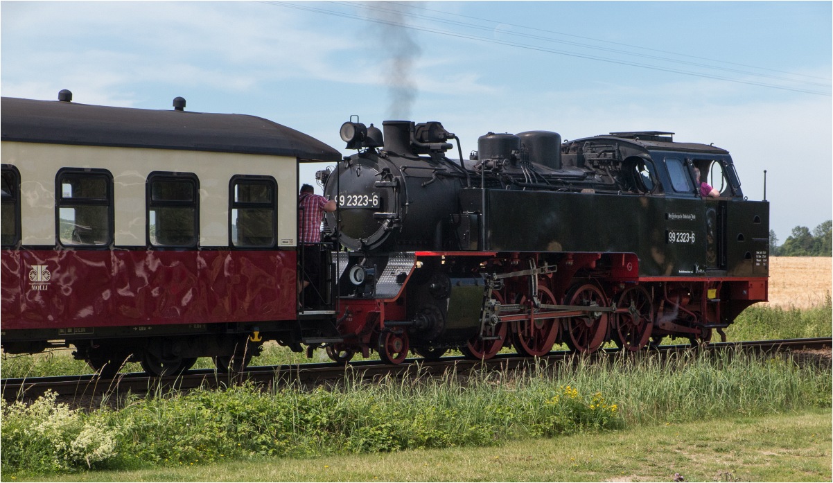 Schmalspurbahn Molly, Wittenbeck