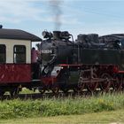 Schmalspurbahn Molly, Wittenbeck