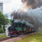 Schmalspurbahnfestival auf der Weißeritztalbahn