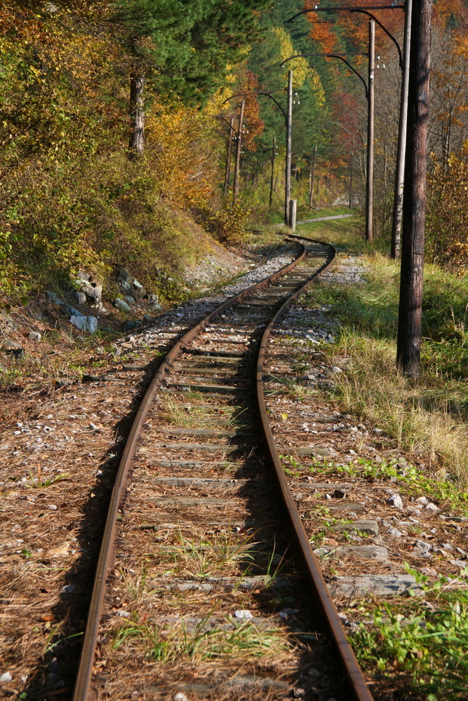 Schmalspurbahnschienen in Herbstlandschaft