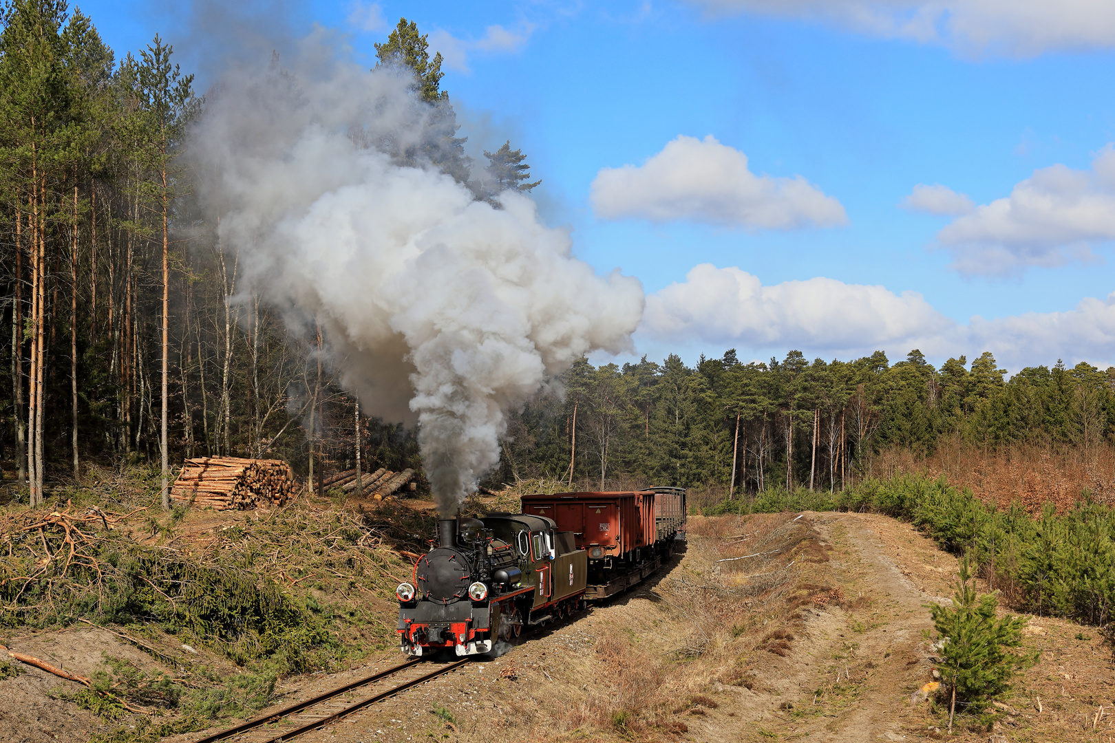 Schmalspurdampf in Pommern 1