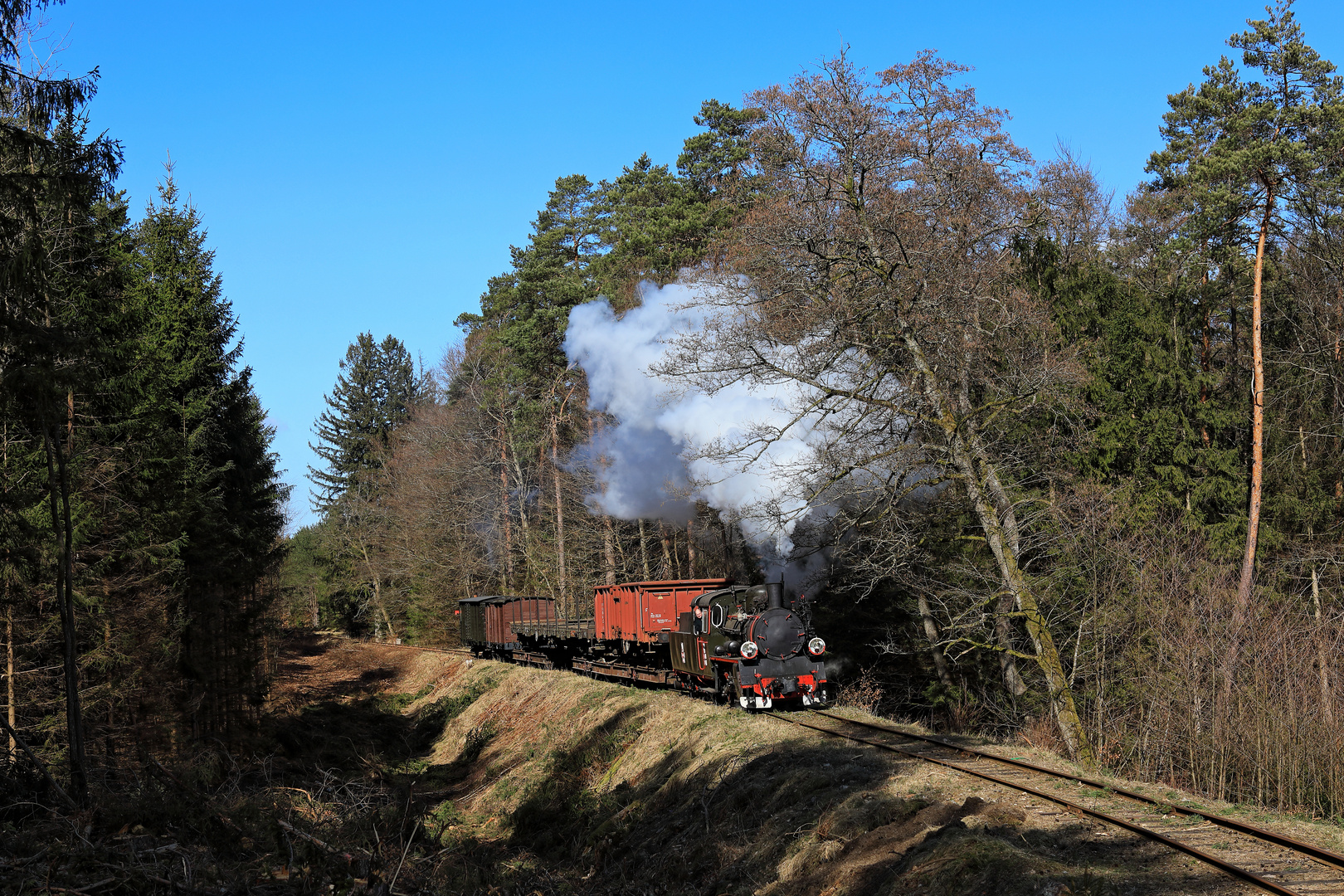 Schmalspurdampf in Pommern 3