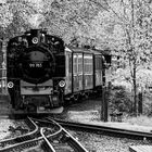 Schmalspurtreffen / Narrow-gauge meeting