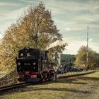 Schmalspurzauber im Erzgebirge