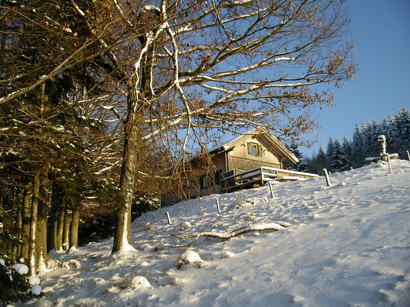 Schmaußingeralm