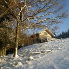 Schmaußingeralm