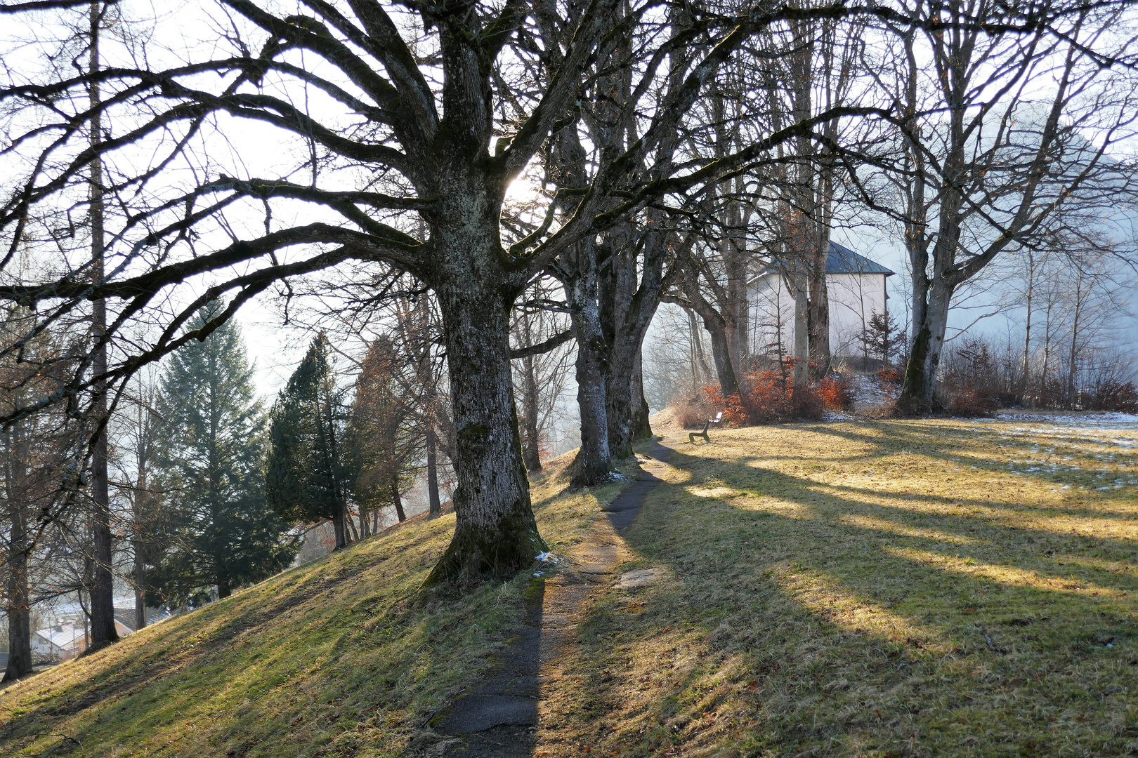 Schmeichellicht am Kalvarienberg