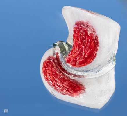 Schmelzende Himbeere