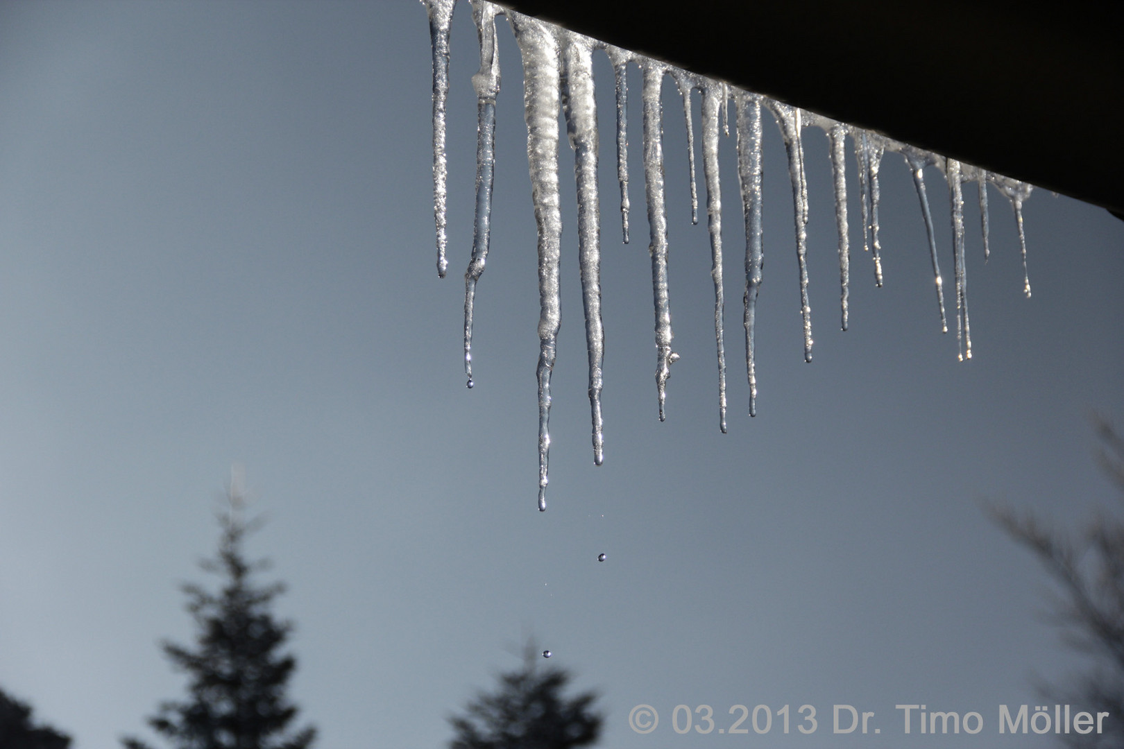 Schmelzender Eiszapfen