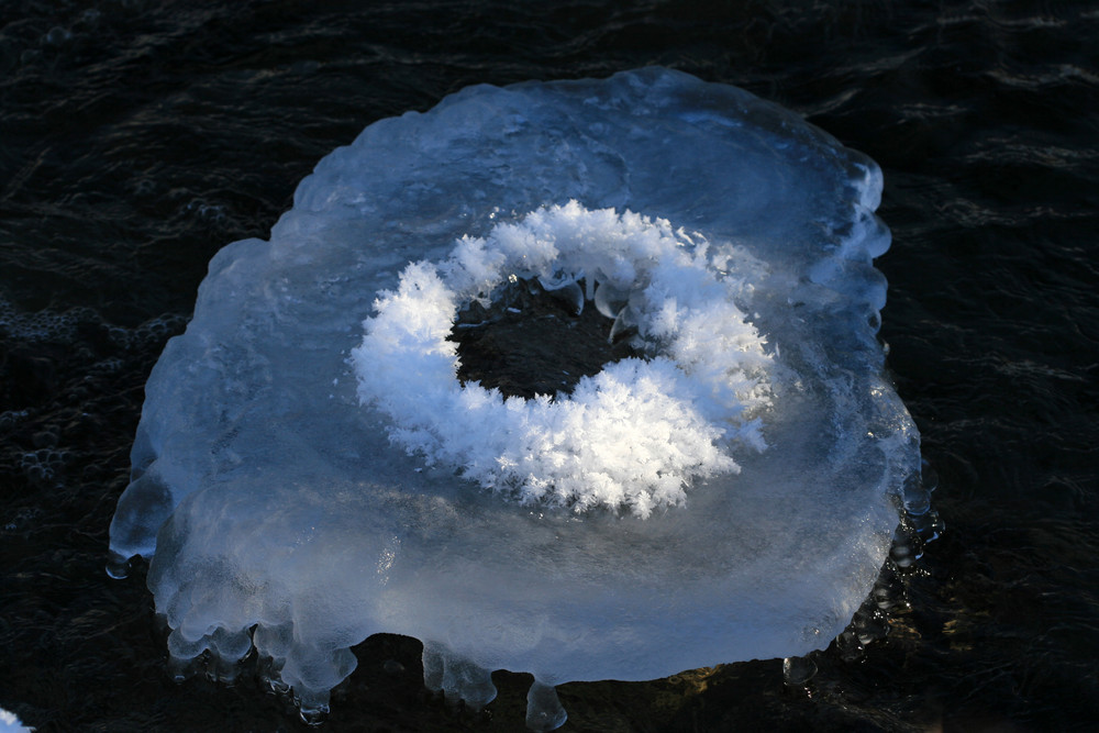 Schmelzkringel - Ice Donut