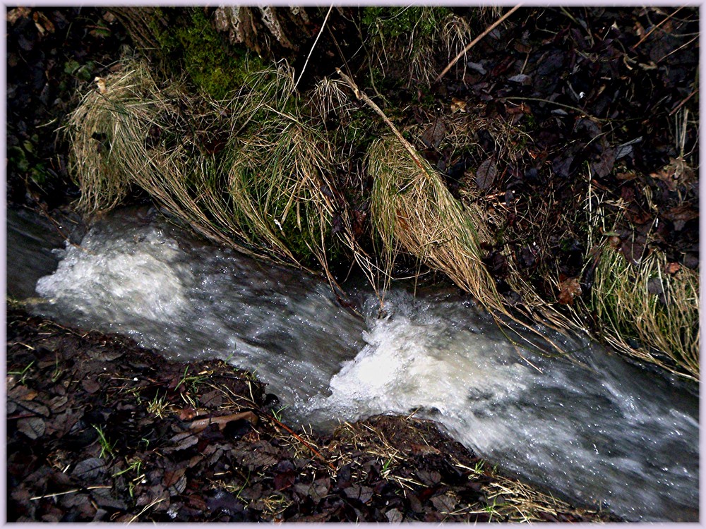 Schmelzwasser...