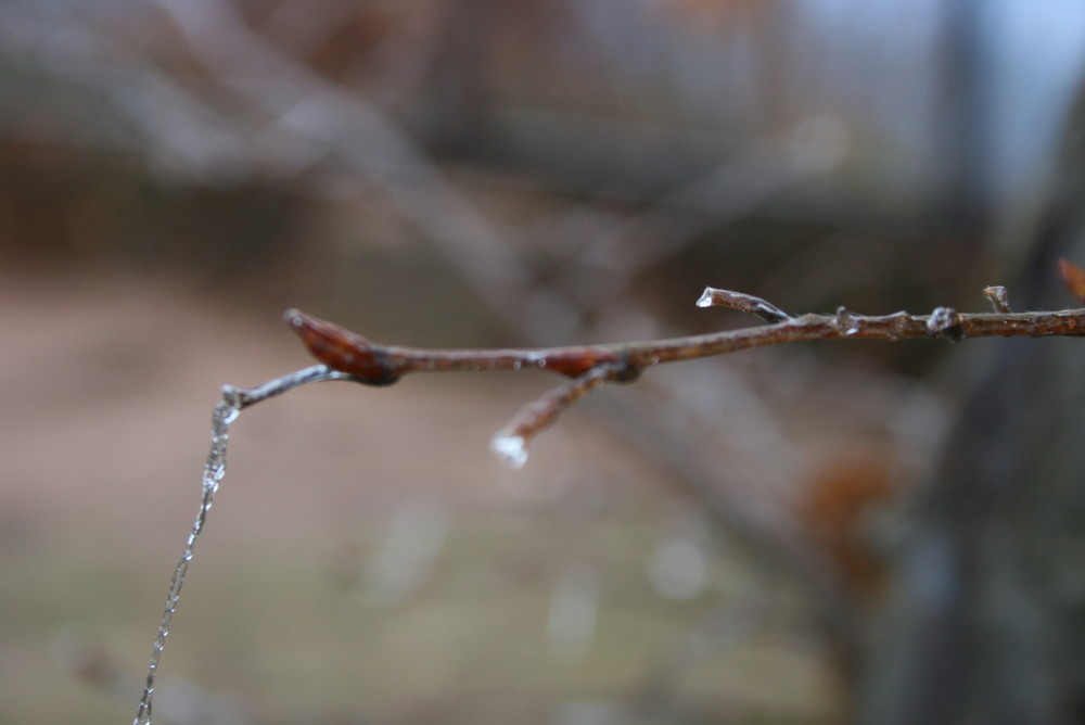 Schmelzwasser 2 von Tirla 