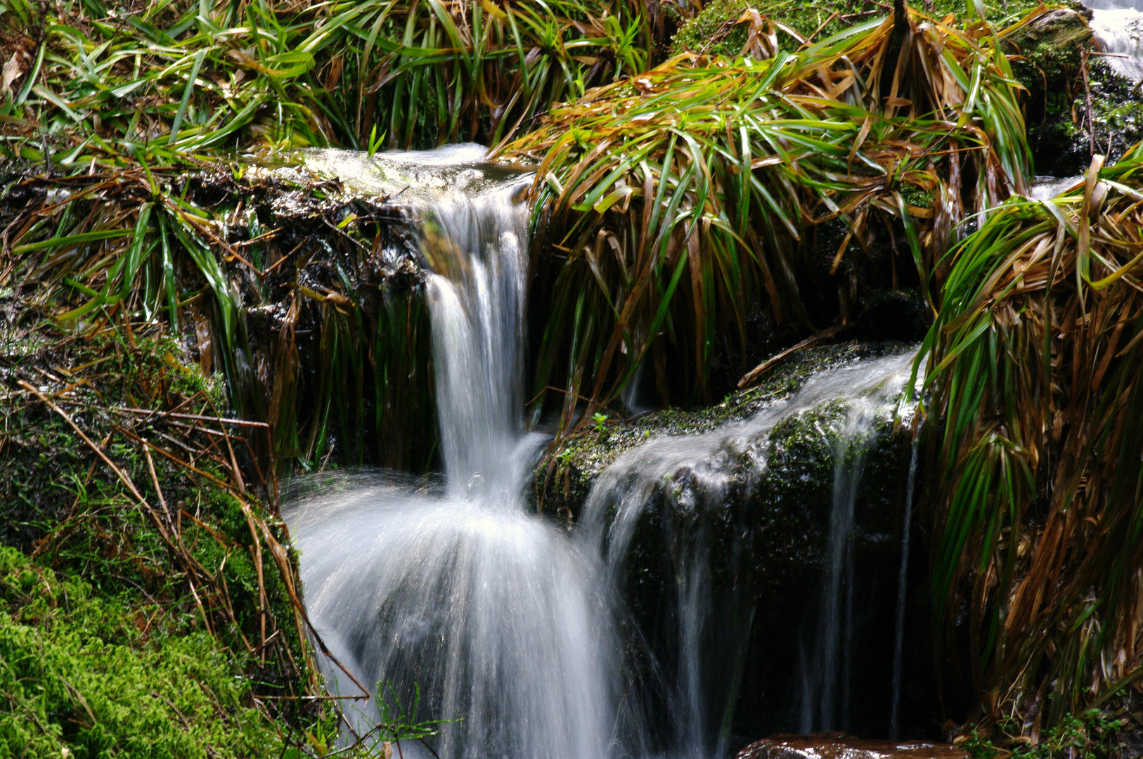 Schmelzwasser