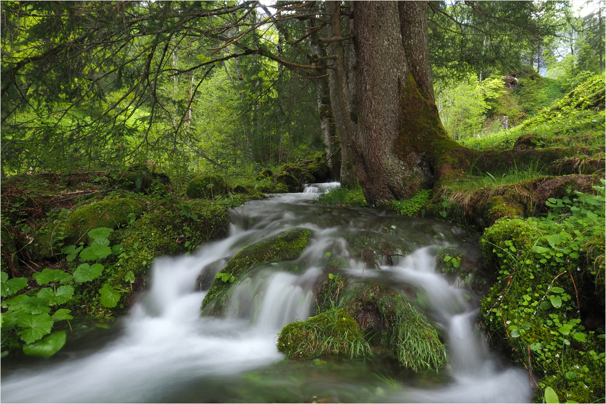 Schmelzwasser