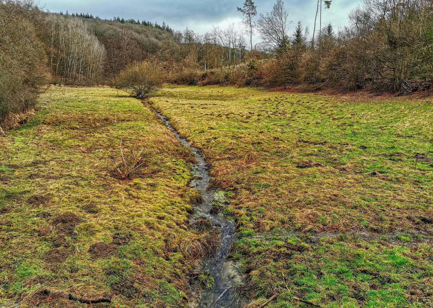 Schmelzwasser