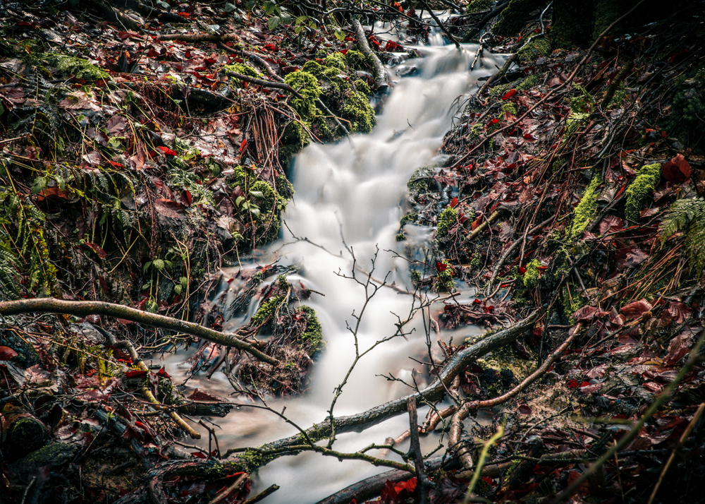 Schmelzwasser