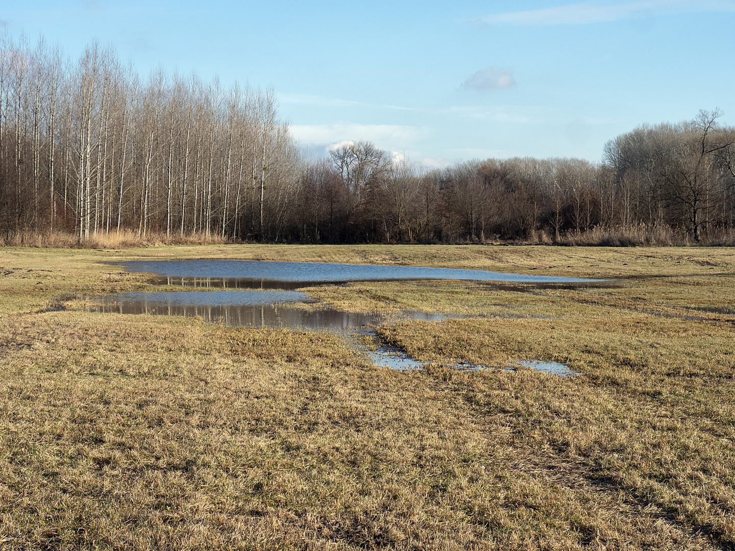 schmelzwasserfeuchtgebiet