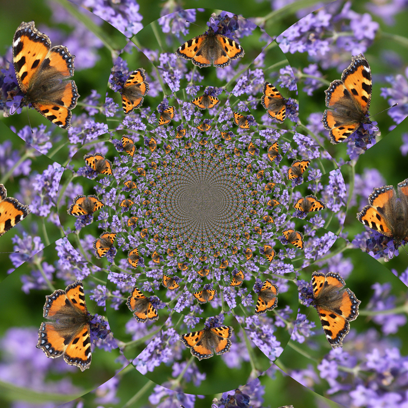 Schmetterkaleidoskop