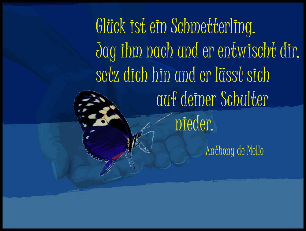 Schmetterling