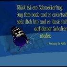 Schmetterling