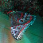 Schmetterling (3D-Bild für Rot/Cyan Brille)