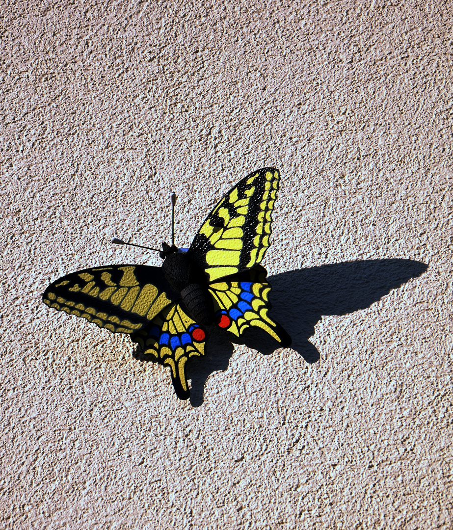 Schmetterling an der Hauswand