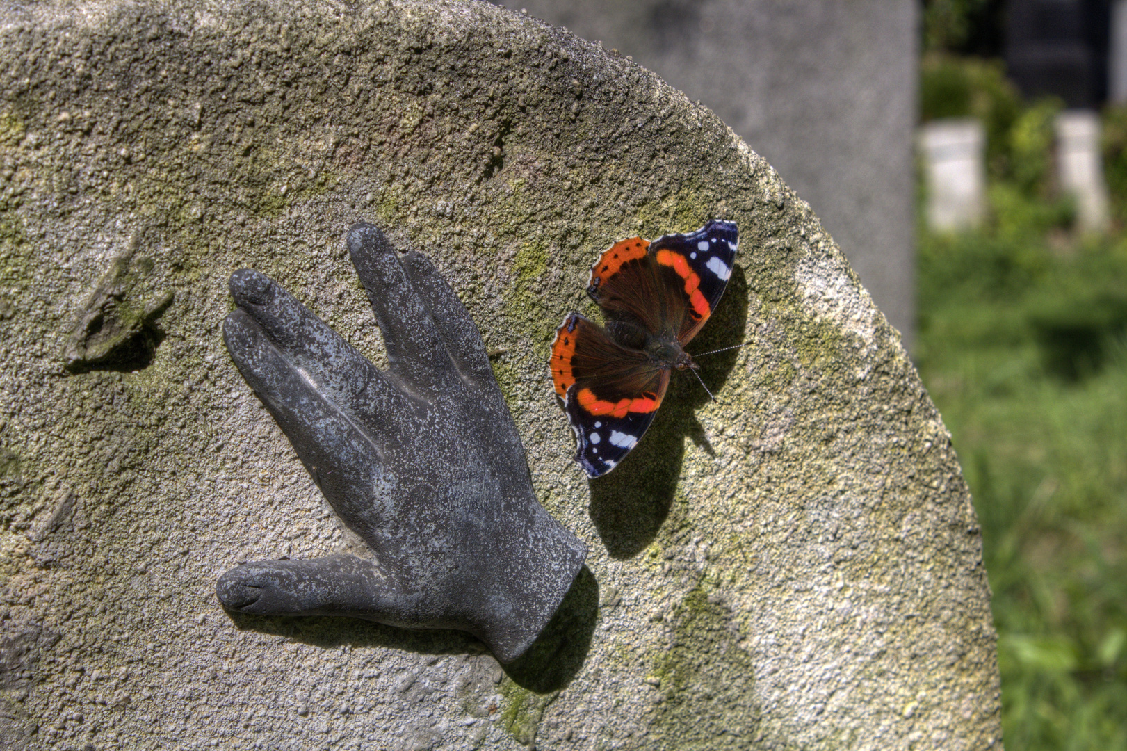 Schmetterling auf Grabstein