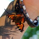 Schmetterling auf Tattoo