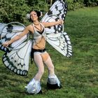 Schmetterling im Central Park