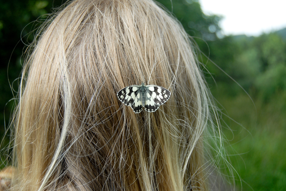 Schmetterling im Haar