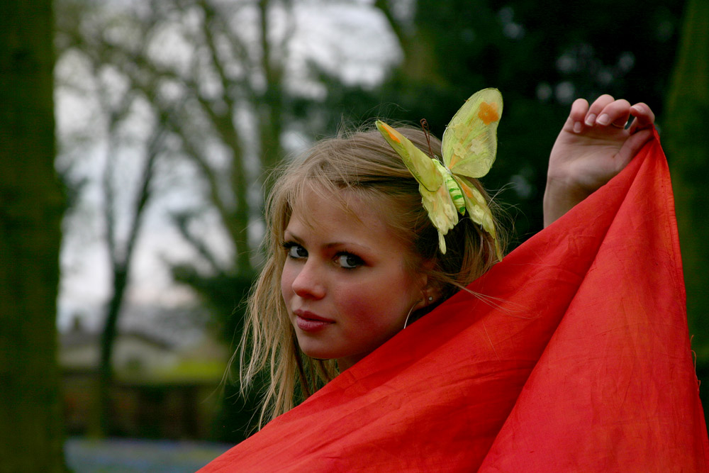 SCHMETTERLING ZWEI