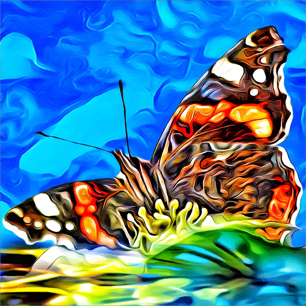 SCHMETTERLING_03