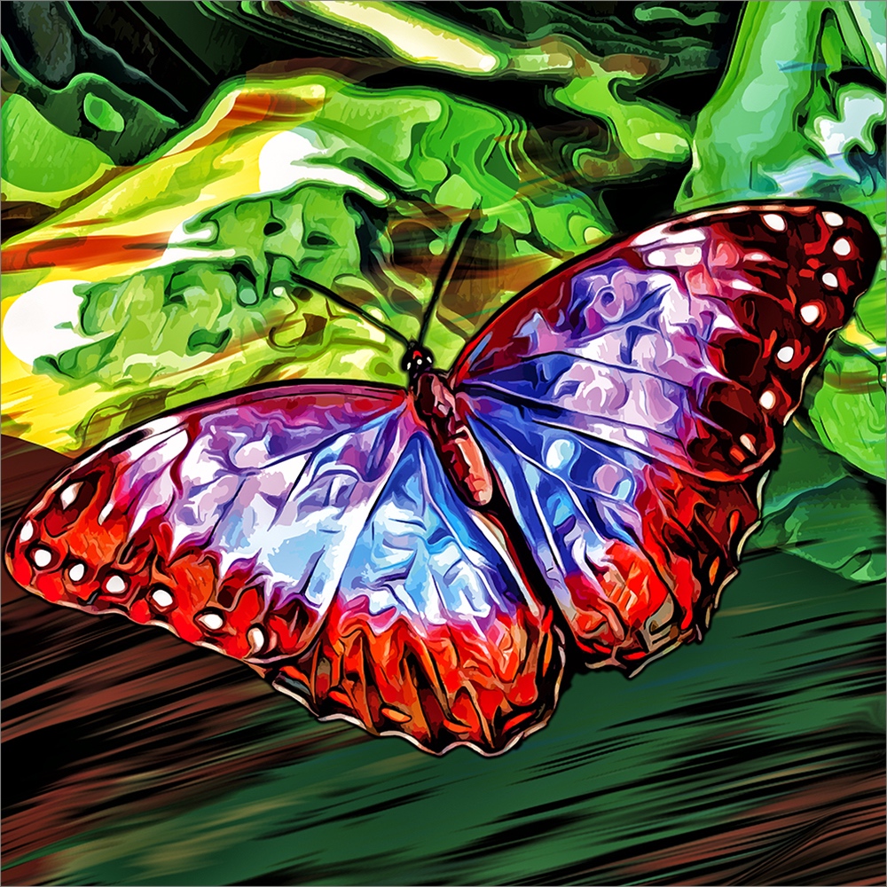 SCHMETTERLING_04