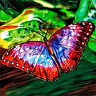 SCHMETTERLING_04