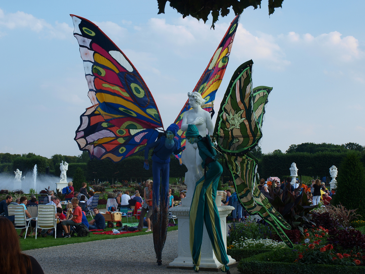 Schmetterling(1)