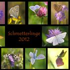 Schmetterlinge 2012