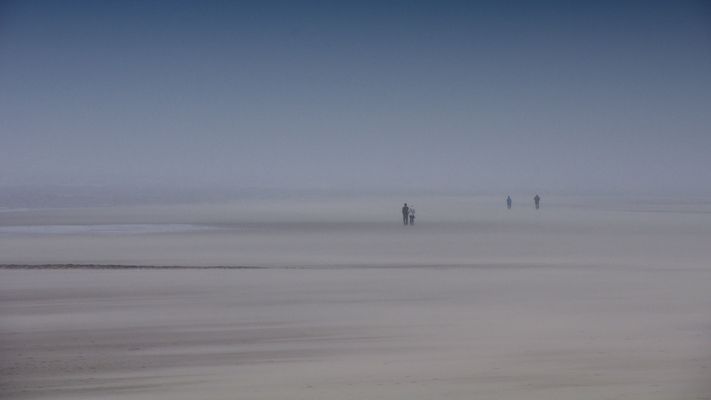 Schmetterlinge für die Seele