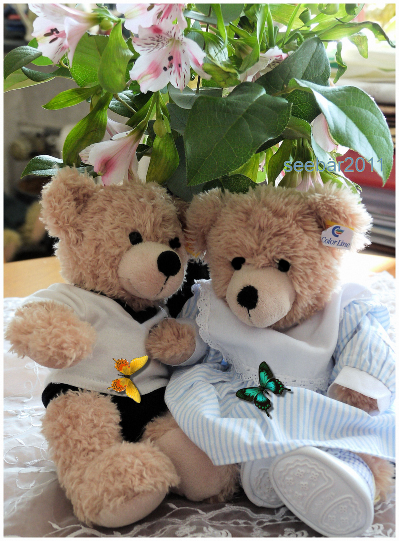 Schmetterlinge im Bauch Foto &amp; Bild stillleben, teddies, motive