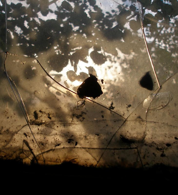 Schmetterlinge im Frühherbst