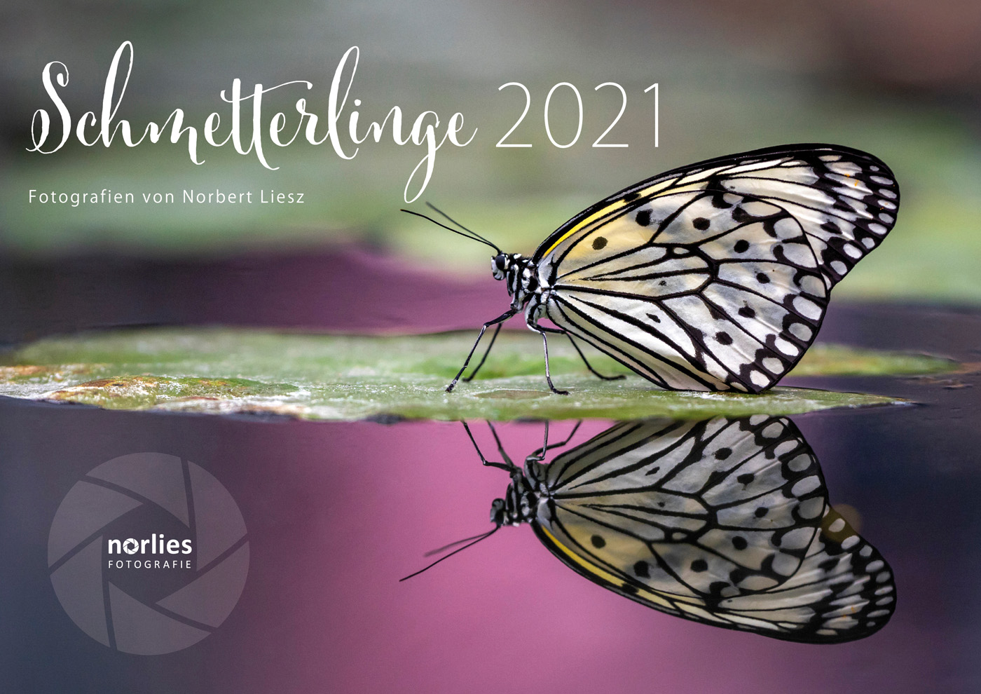 Schmetterlinge Kalender 2021 - Titelblatt Foto & Bild  spezial, pink 